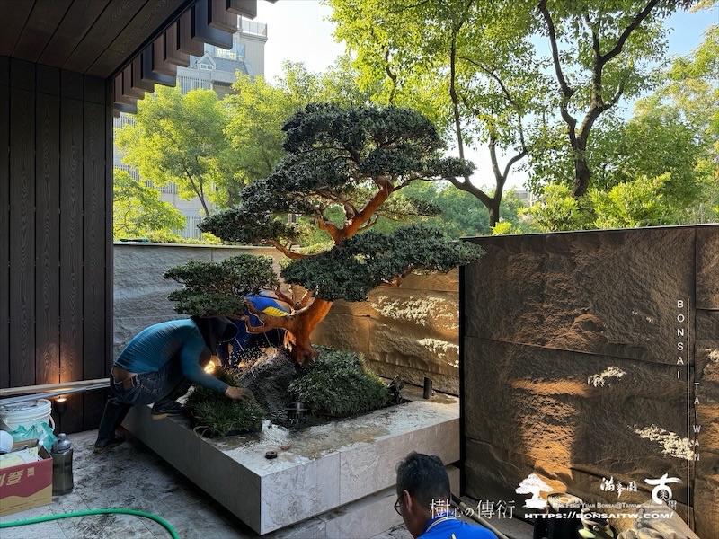 img 1800 [我們的作品]景觀施工-案1001 客戶案例