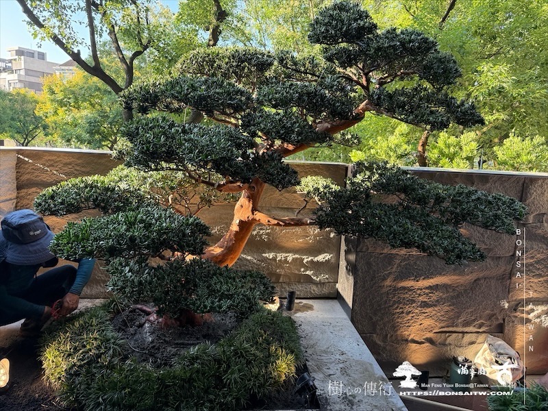 img 1801 [我們的作品]景觀施工-案1001 客戶案例