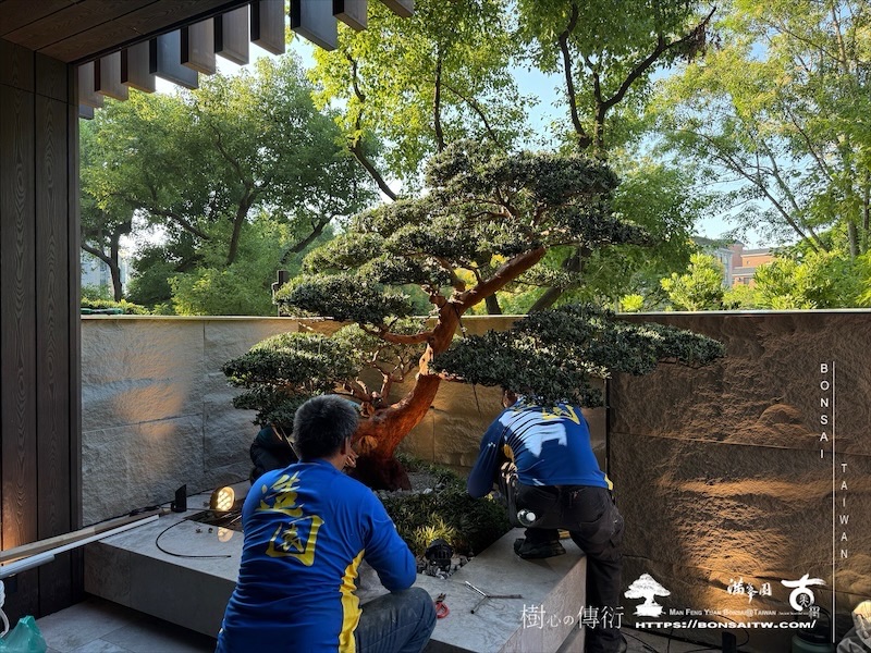 img 1803 [我們的作品]景觀施工-案1001 客戶案例