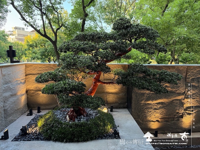 img 1805 [我們的作品]景觀施工-案1001 客戶案例