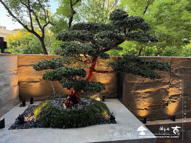 img 1806 [我們的作品]景觀施工-案1001 客戶案例