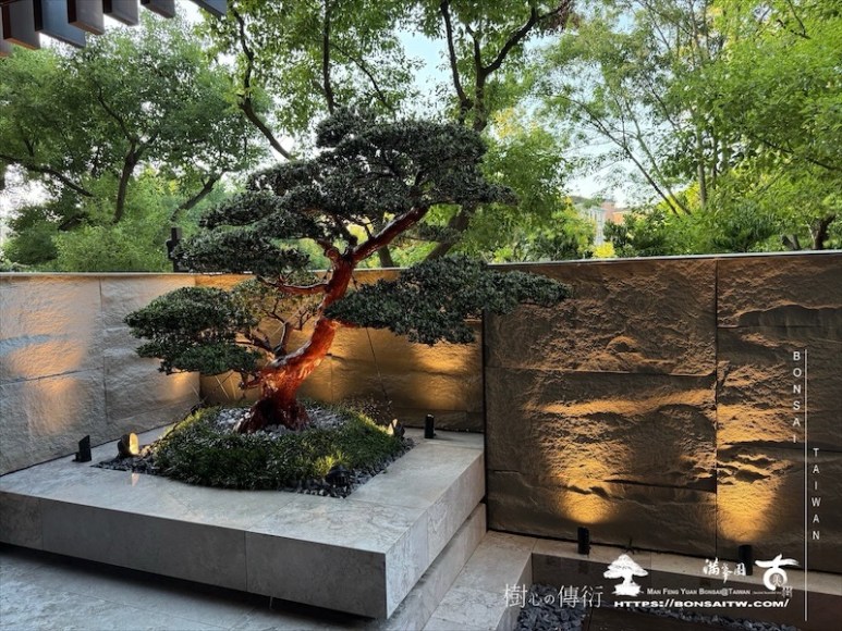 img 1807 [我們的作品]景觀施工-案1001 客戶案例