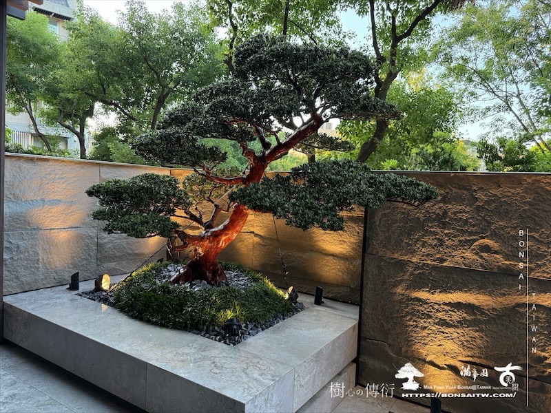 img 1808 [我們的作品]景觀施工-案1001 客戶案例