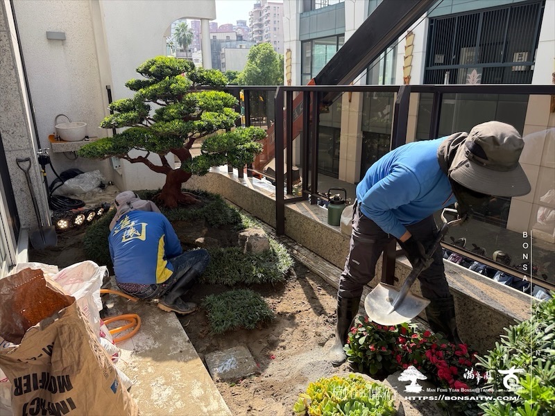 img 5668 [我們的作品]景觀施工-案110501 露台造景