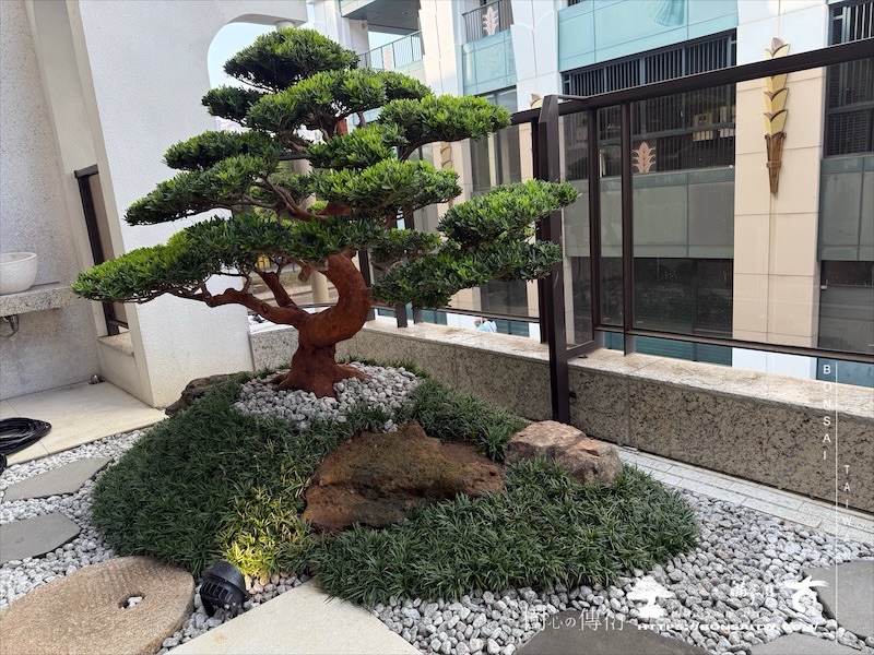 img 5676 [我們的作品]景觀施工-案110501 露台造景