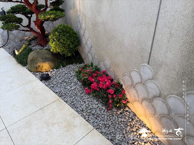 img 6240 [我們的作品]景觀施工-案110502 盆栽(Bonsai)