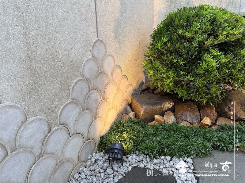 img 6241 [我們的作品]景觀施工-案110502 盆栽(Bonsai)