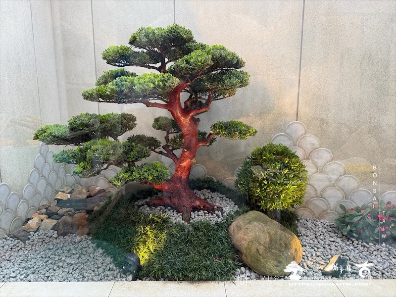 img 6242 [我們的作品]景觀施工-案110502 盆栽(Bonsai)