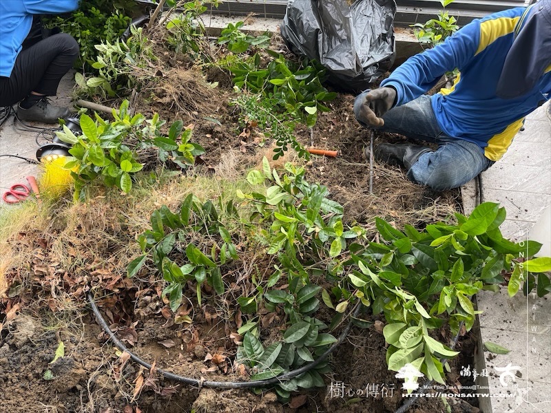 img 7037 [我們的作品]景觀施工-案1127 露台造景