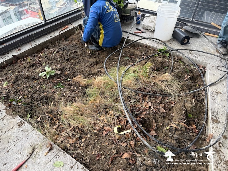 img 7038 [我們的作品]景觀施工-案1127 露台造景