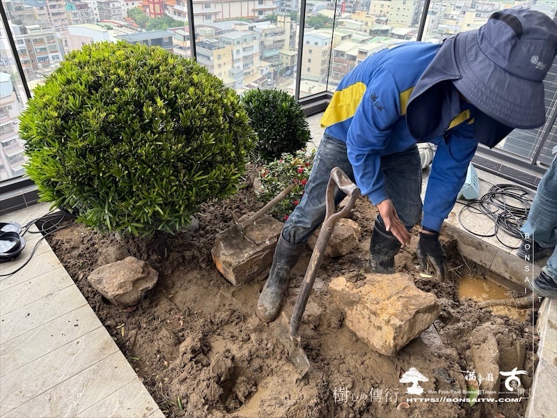 img 7040 [我們的作品]景觀施工-案1127 露台造景