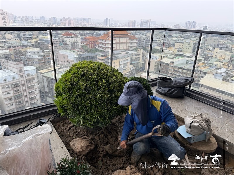 img 7041 [我們的作品]景觀施工-案1127 露台造景