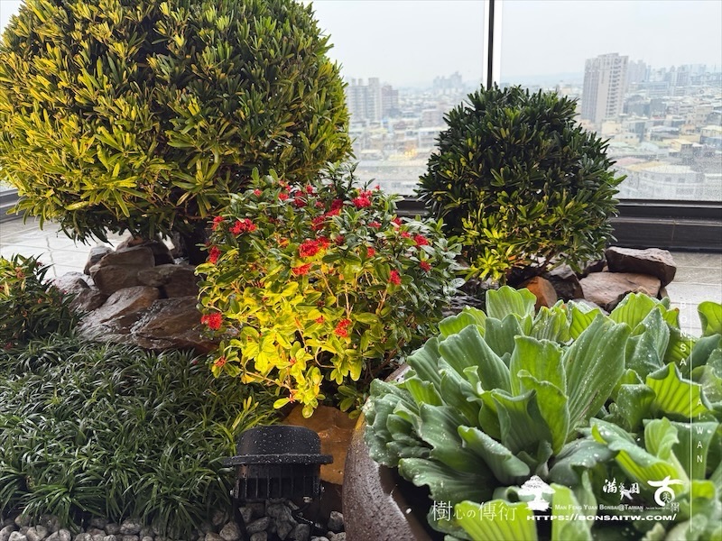 img 7052 [我們的作品]景觀施工-案1127 露台造景