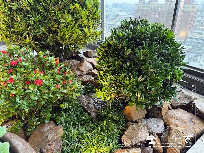 img 7054 [我們的作品]景觀施工-案1127 露台造景