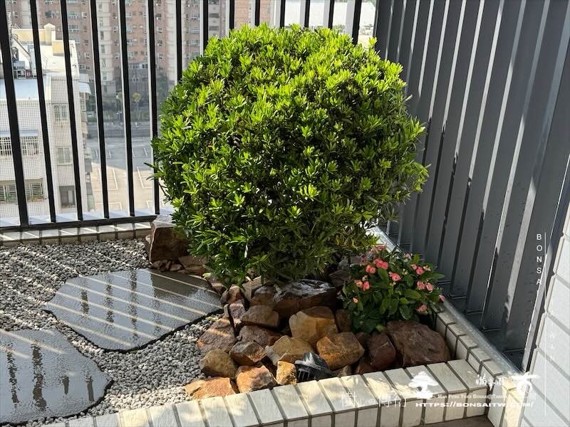 img 7933 [我們的作品]景觀施工-案1212 露台造景