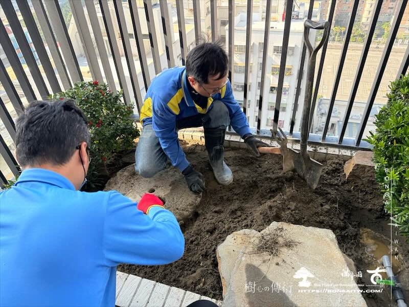 img 7951 [我們的作品]景觀施工-案1212 露台造景