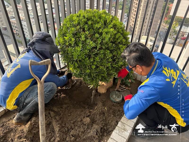 img 7953 [我們的作品]景觀施工-案1212 露台造景