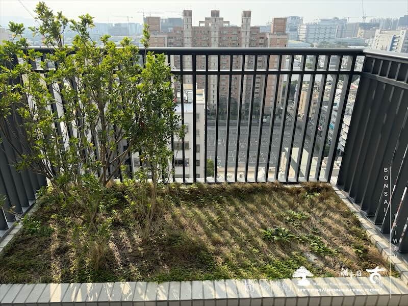 img 7955 [我們的作品]景觀施工-案1212 露台造景