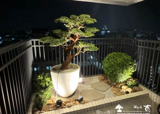 img 8041 [我們的作品]景觀施工-案1212 客戶案例