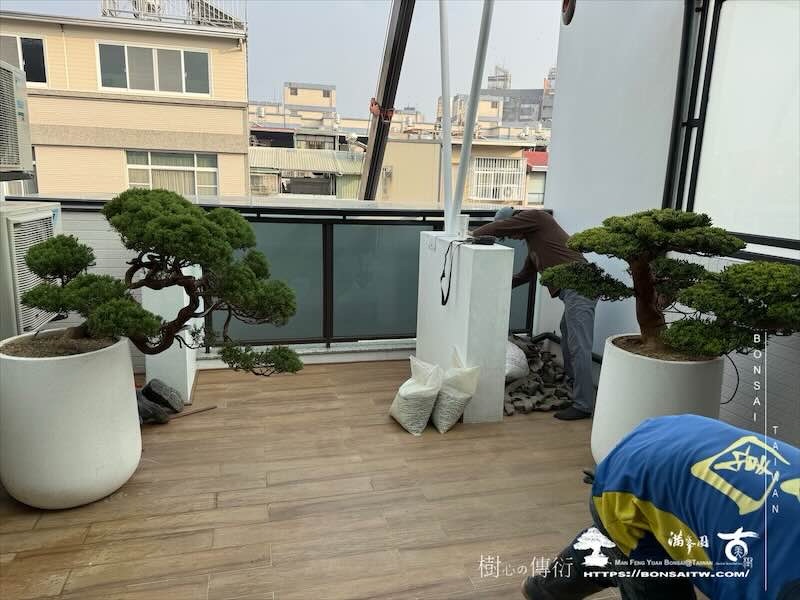 img 8144 [我們的作品]露台佈置施工-案1129 露台造景
