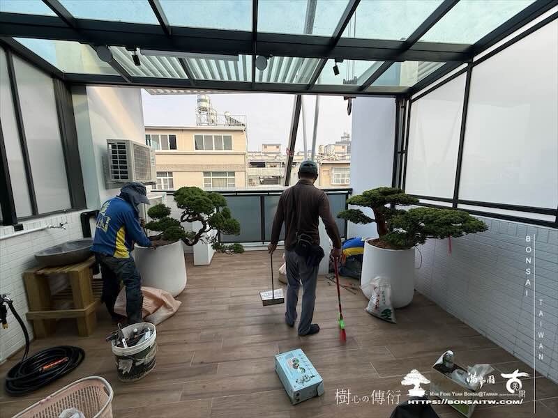 img 8145 [我們的作品]露台佈置施工-案1129 露台造景