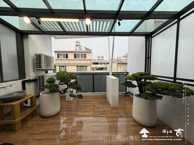 img 8147 [我們的作品]露台佈置施工-案1129 露台造景