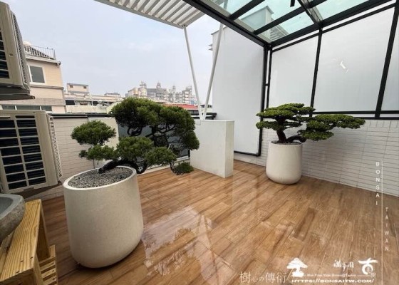 img 8149 [我們的作品]露台佈置施工-案1129 客戶案例