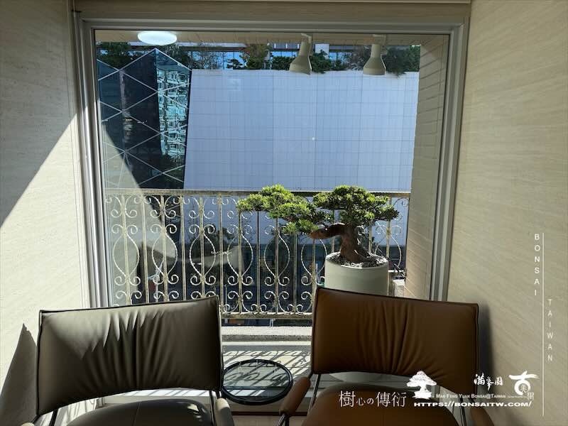 img 8169 [我們的作品]露台佈置施工-案121102 盆栽(Bonsai)