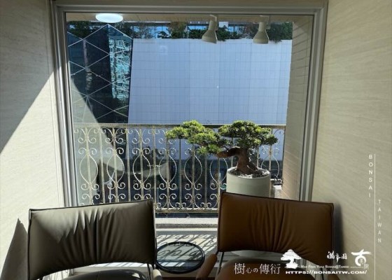 img 8170 [我們的作品]露台佈置施工-案121102 客戶案例