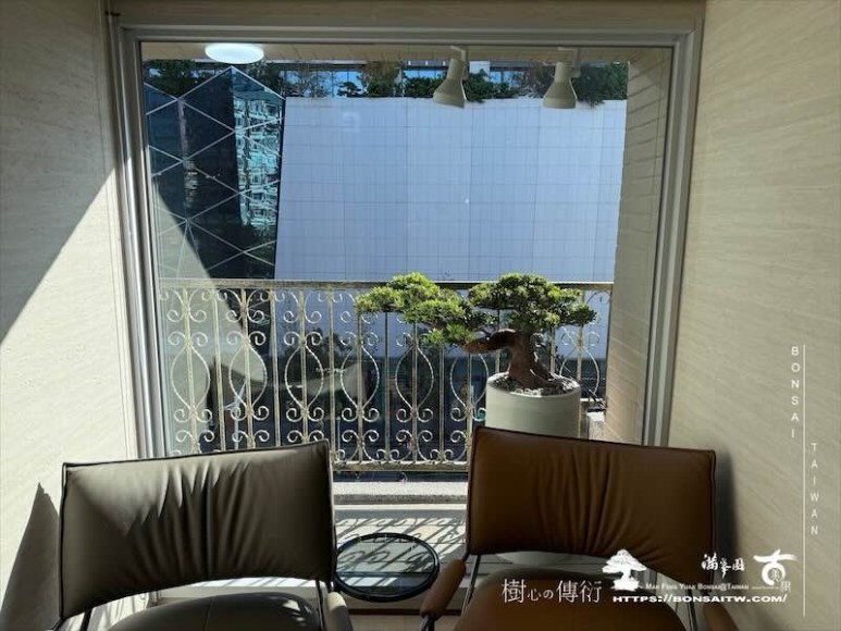 img 8170 [我們的作品]露台佈置施工-案121102 盆栽(Bonsai)