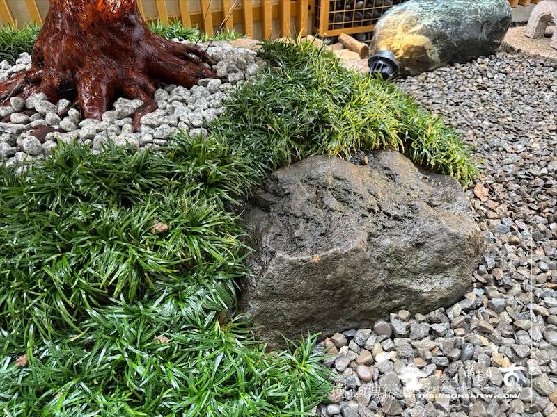 img 8832 [我們的作品]景觀施工-案1225 客戶案例