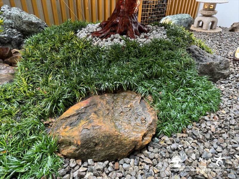 img 8833 [我們的作品]景觀施工-案1225 客戶案例