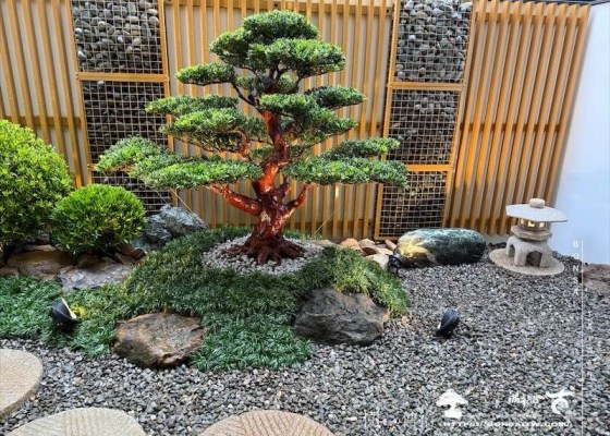 img 8834 [我們的作品]景觀施工-案1225 客戶案例