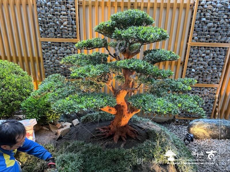 img 8842 [我們的作品]景觀施工-案1225 客戶案例