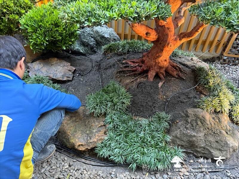 img 8843 [我們的作品]景觀施工-案1225 客戶案例