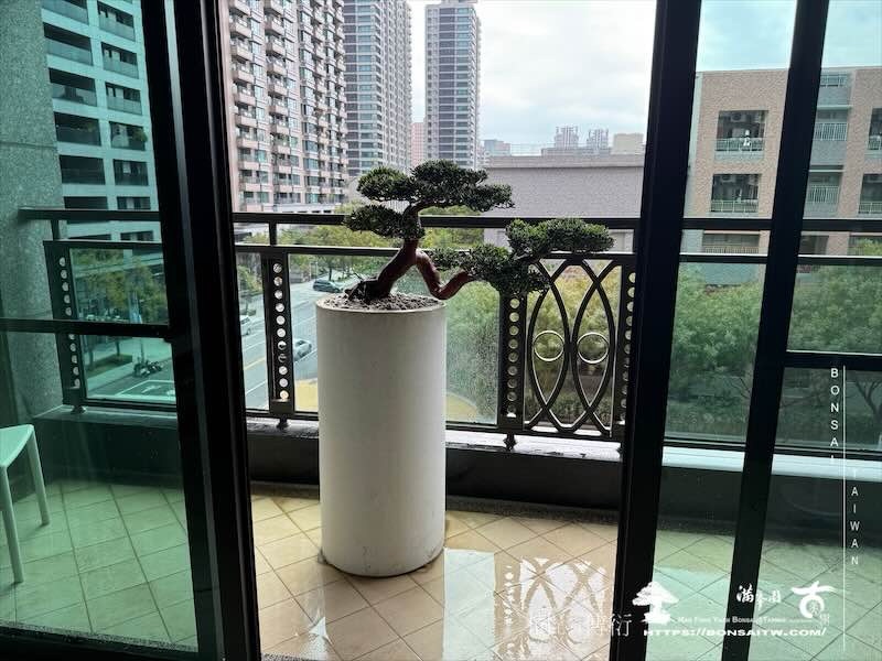 img 0501 [我們的作品]露台佈置-案0102 露台造景