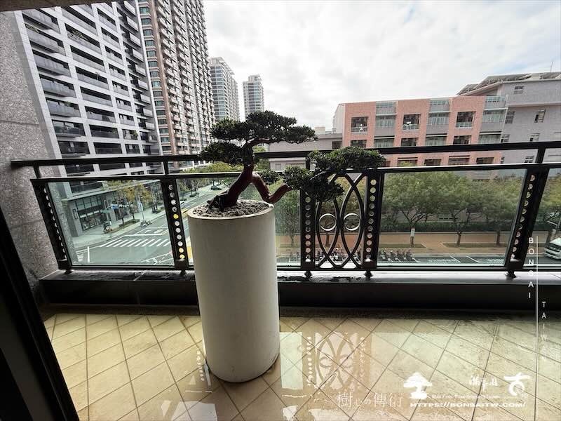 img 0503 [我們的作品]露台佈置-案0102 露台造景