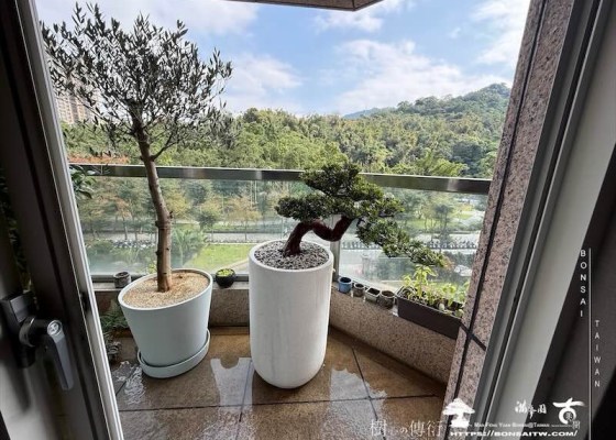 img 0505 [我們的作品]露台佈置-案0109 客戶案例