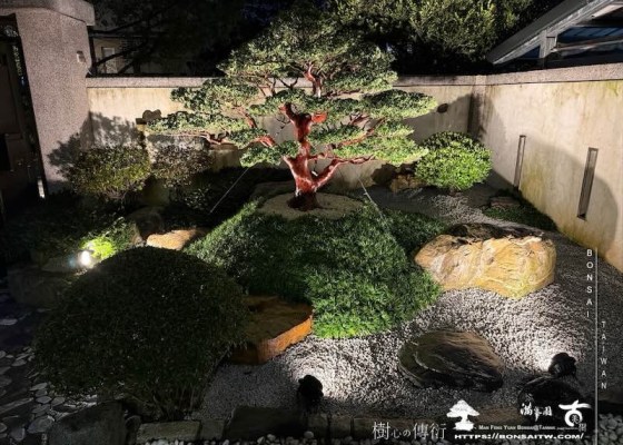 img 2756 [我們的作品]庭園設計-案0122 露台造景