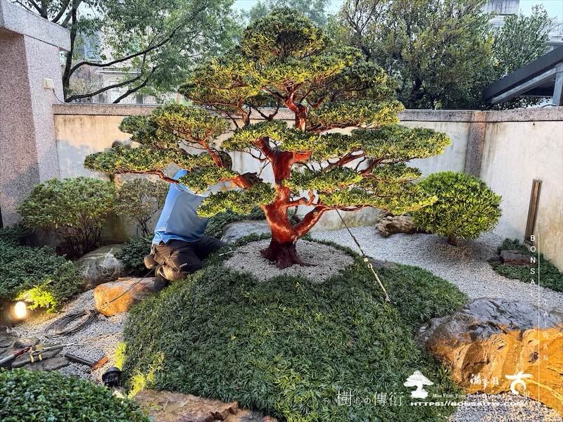 img 2762 [我們的作品]庭園設計-案0122 客戶案例