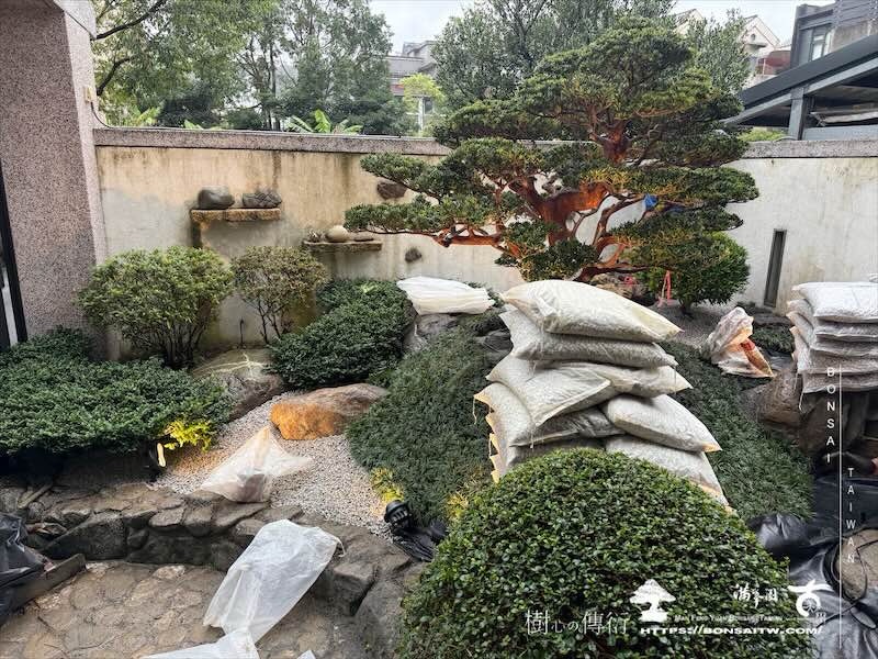 img 2768 [我們的作品]庭園設計-案0122 客戶案例