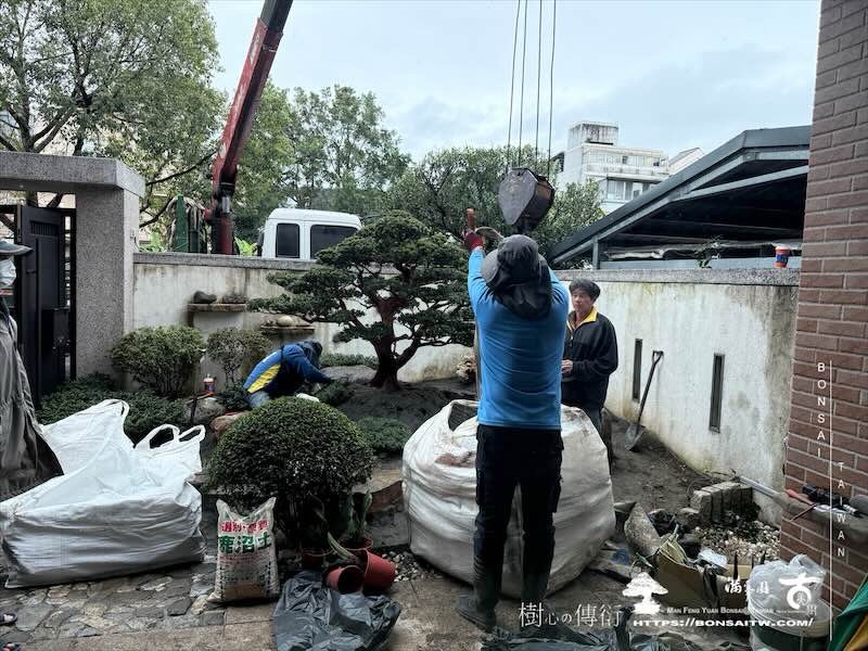 img 2778 [我們的作品]庭園設計-案0122 客戶案例