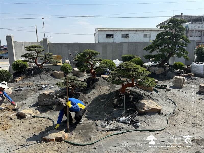 img 5839 [我們的作品]庭園設計-案020201 客戶案例