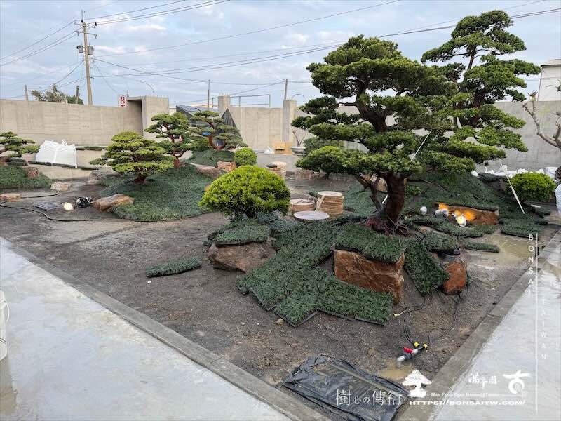 img 5843 [我們的作品]庭園設計-案020201 客戶案例