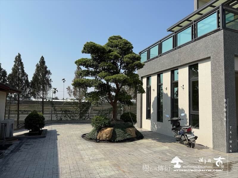 img 5845 1 [我們的作品]庭園設計-案020203 大型庭園樹專區(Garden Tree)