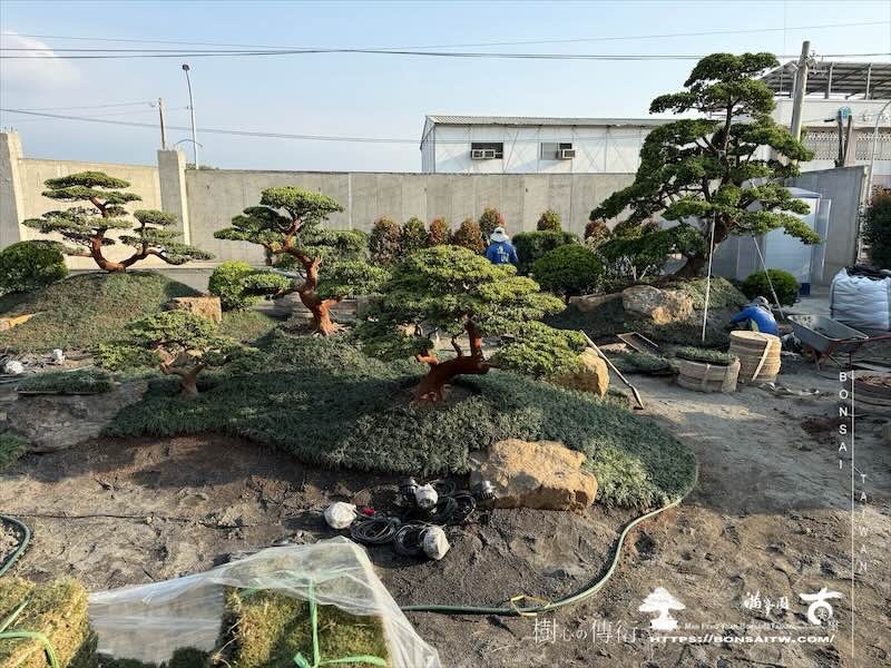 img 5846 [我們的作品]庭園設計-案020201 客戶案例