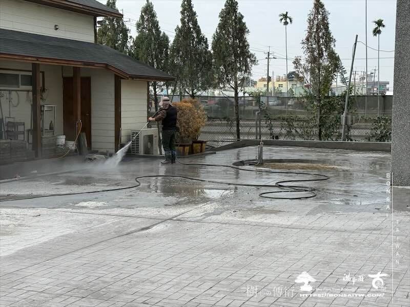 img 5966 [我們的作品]庭園設計-案020203 大型庭園樹專區(Garden Tree)