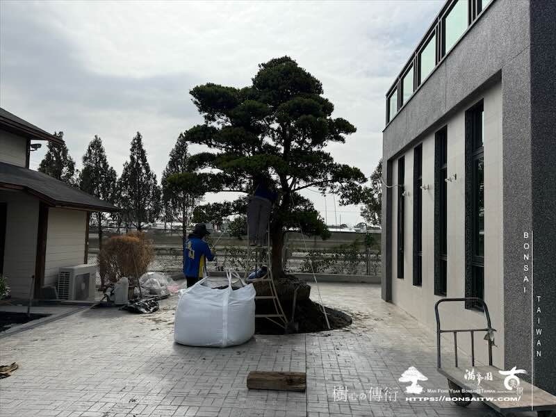 img 5968 [我們的作品]庭園設計-案020203 大型庭園樹專區(Garden Tree)