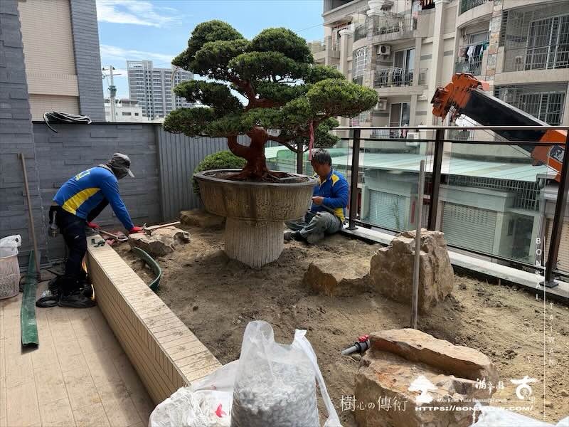 img 6198 我們的作品]庭園設計-案0226 露台造景