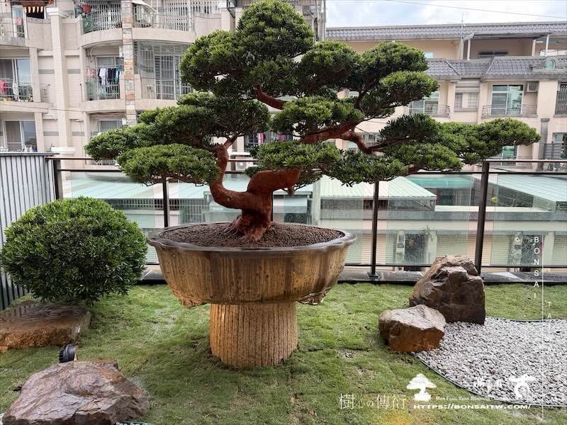 img 6210 我們的作品]庭園設計-案0226 露台造景